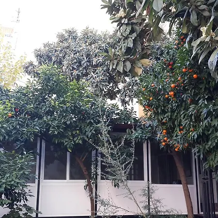 Uyar Palace-2